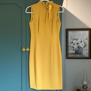 Calvin Klein Dress Size 4